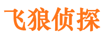 桦甸调查取证